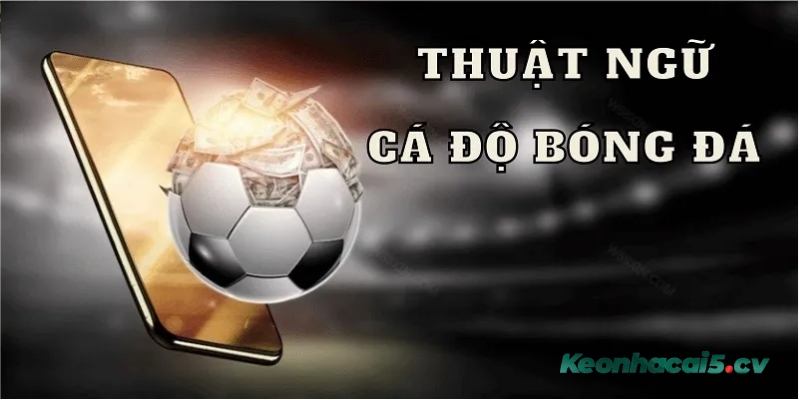 Tổng hợp các thuật ngữ cá độ bóng đá cần nắm